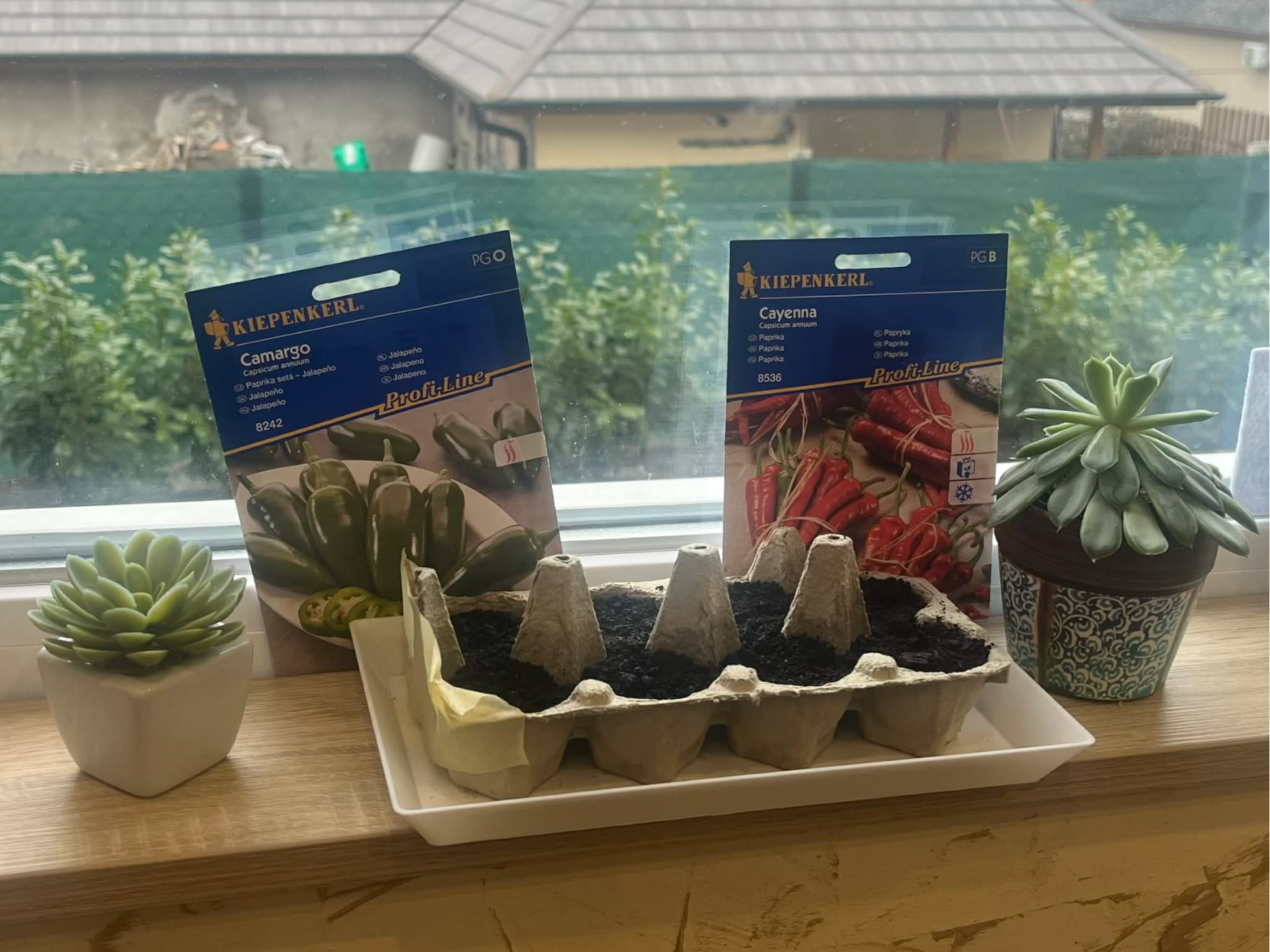 Eco-Friendly Egg Carton Seed Starter Tray
