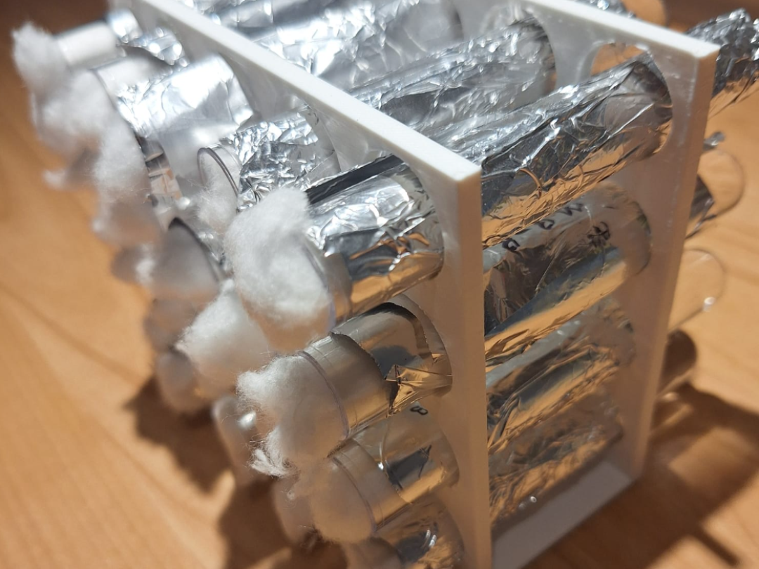 Multi ants test tube stand