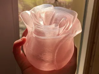 Spiral Vase Rose
