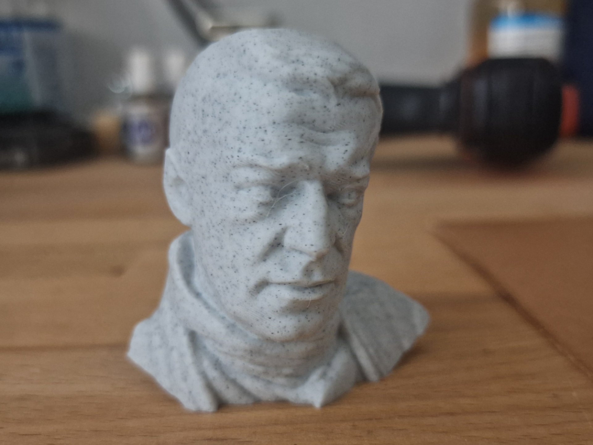 Ernst Shackleton 3D Bust