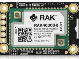 RAK4631 Base Station