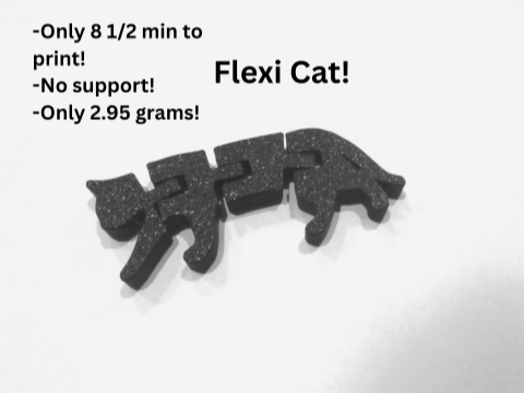 Flexi Cat