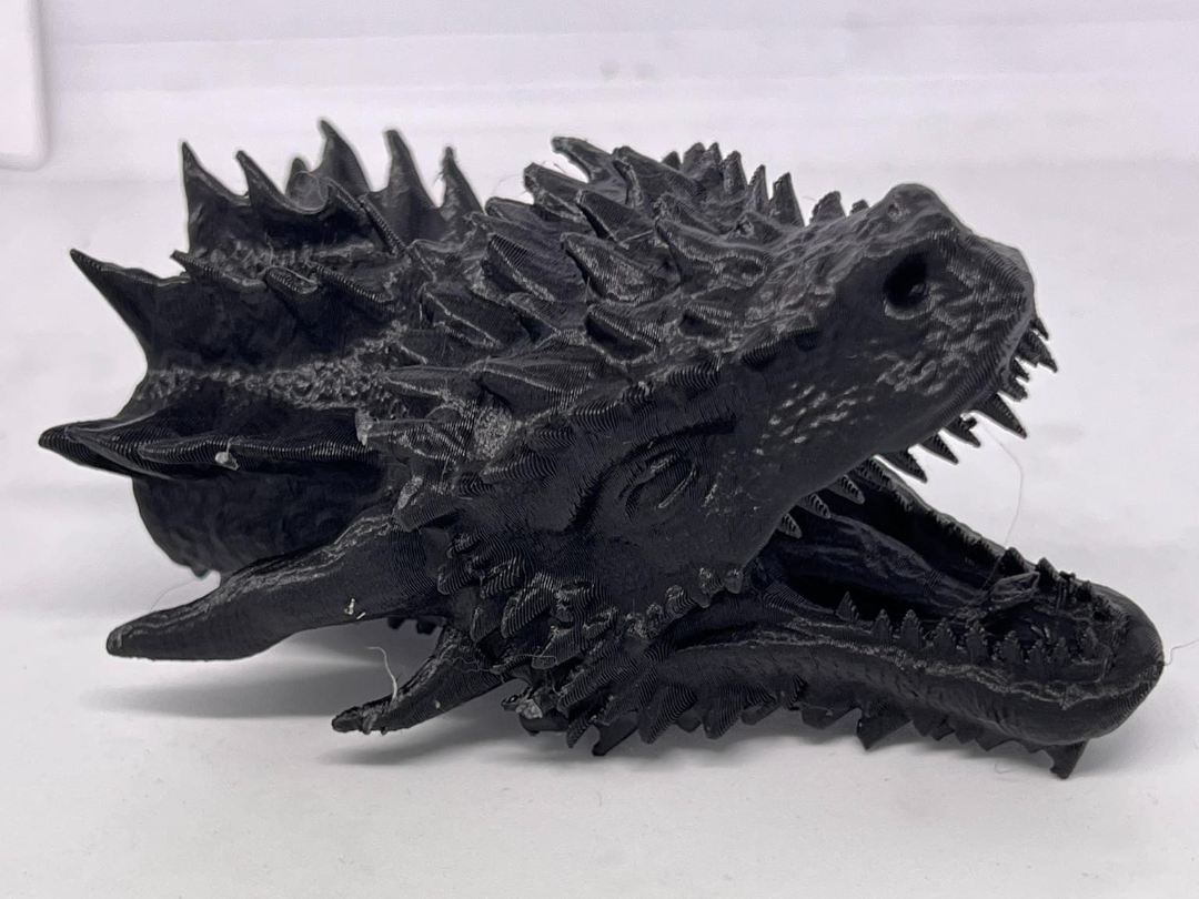 A Dragon's Head