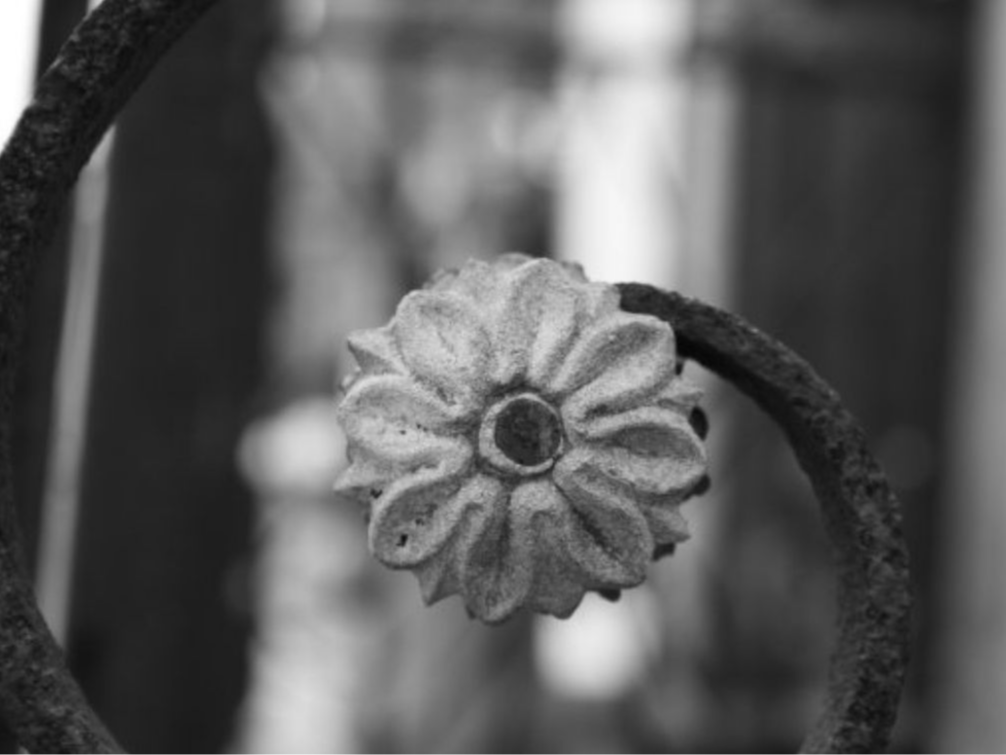 Cemetary Flower