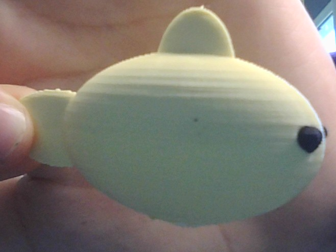 cute fish enable support