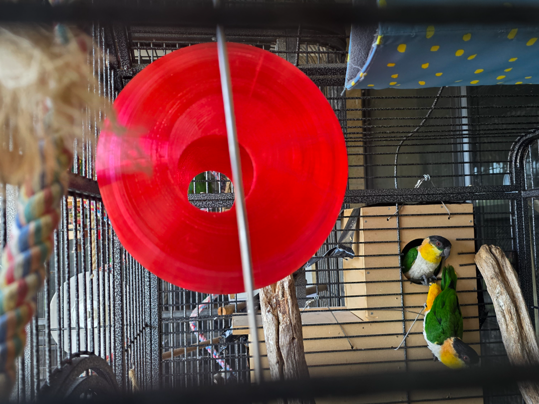 parrot ball 210mm