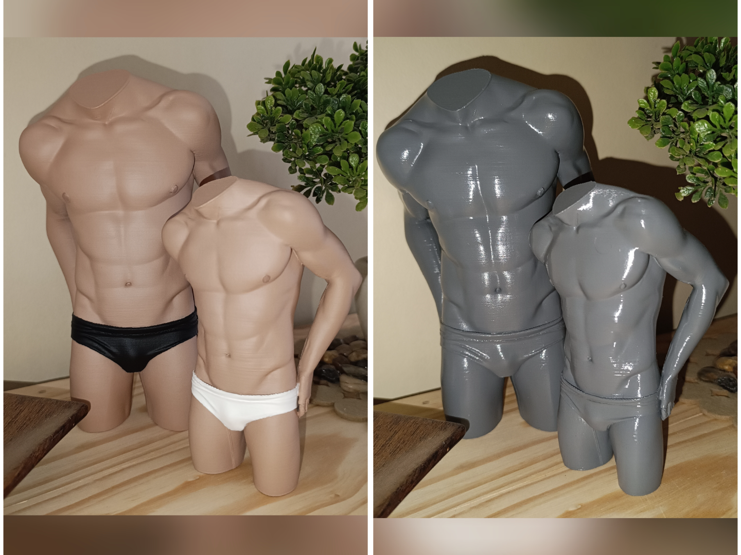 Speedo model art