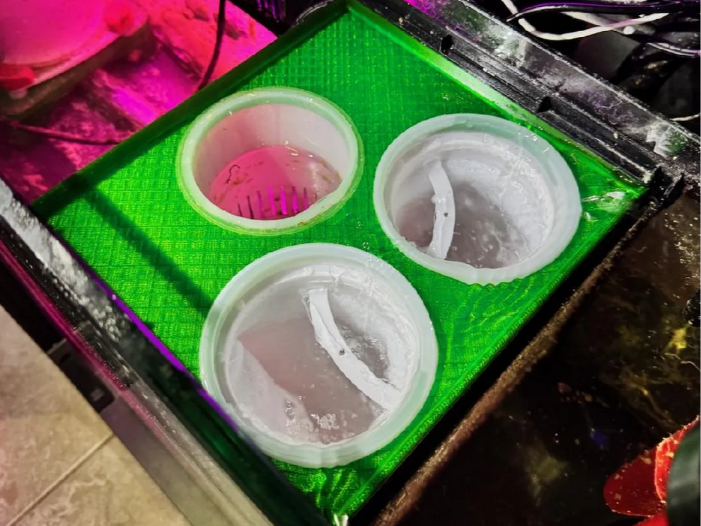 RedSea 4 Inch Filter Sock Adapter