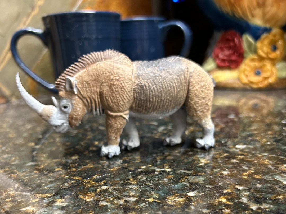 Woolly Rhino