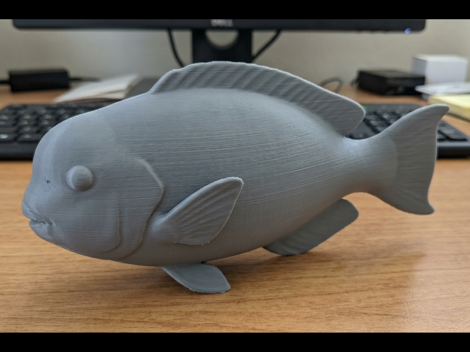 Parrot Fish Statue