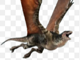 Mutadon Flying