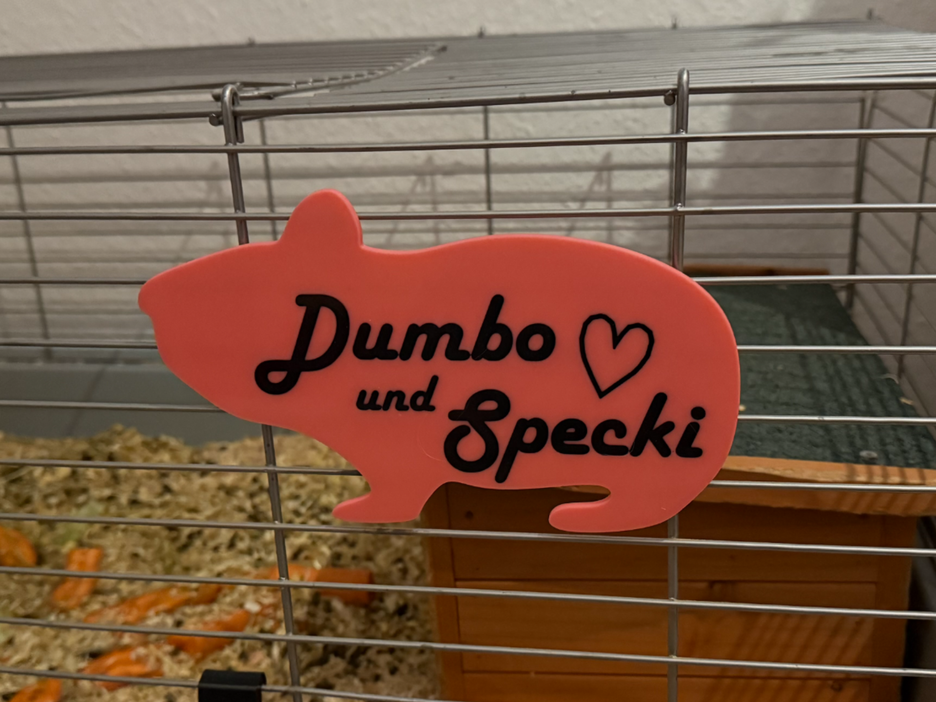 Schild Meerschweinchenkäfig (Text editierbar)