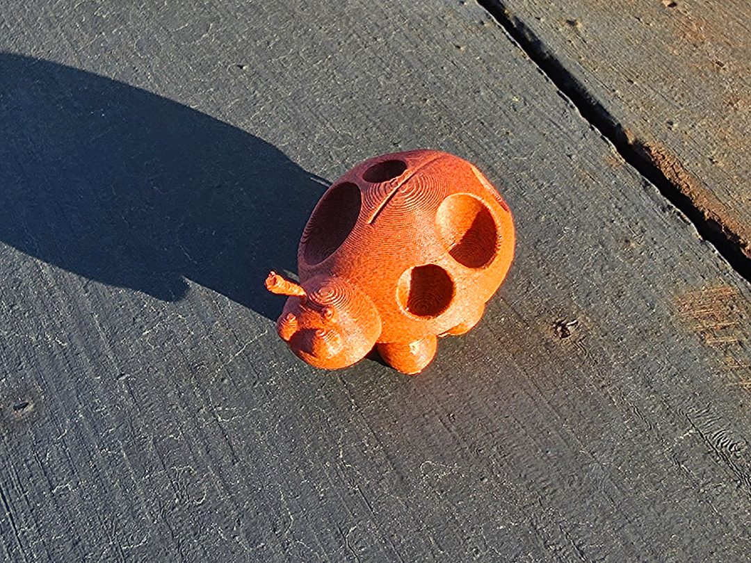 Ladybug