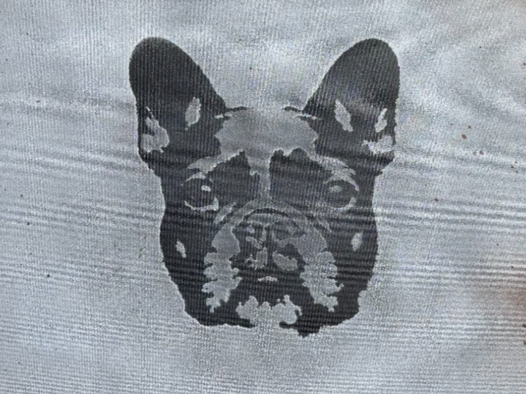 Frenchie Graffiti