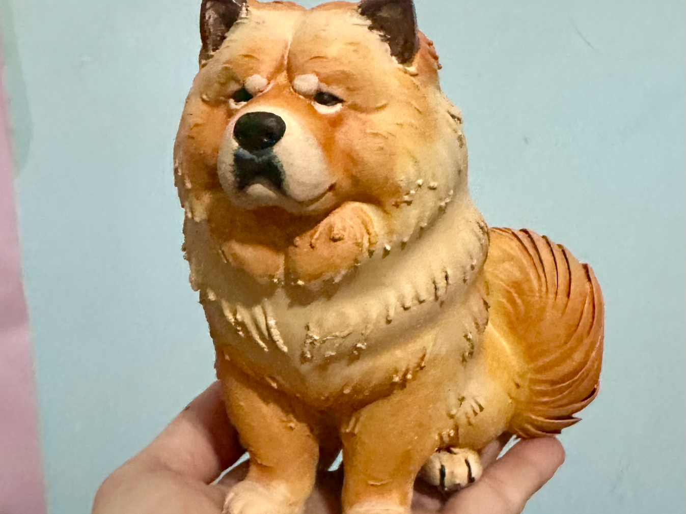 cane chow chow