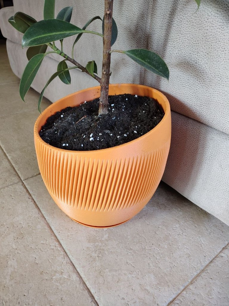 Planter with false gyroid bottom