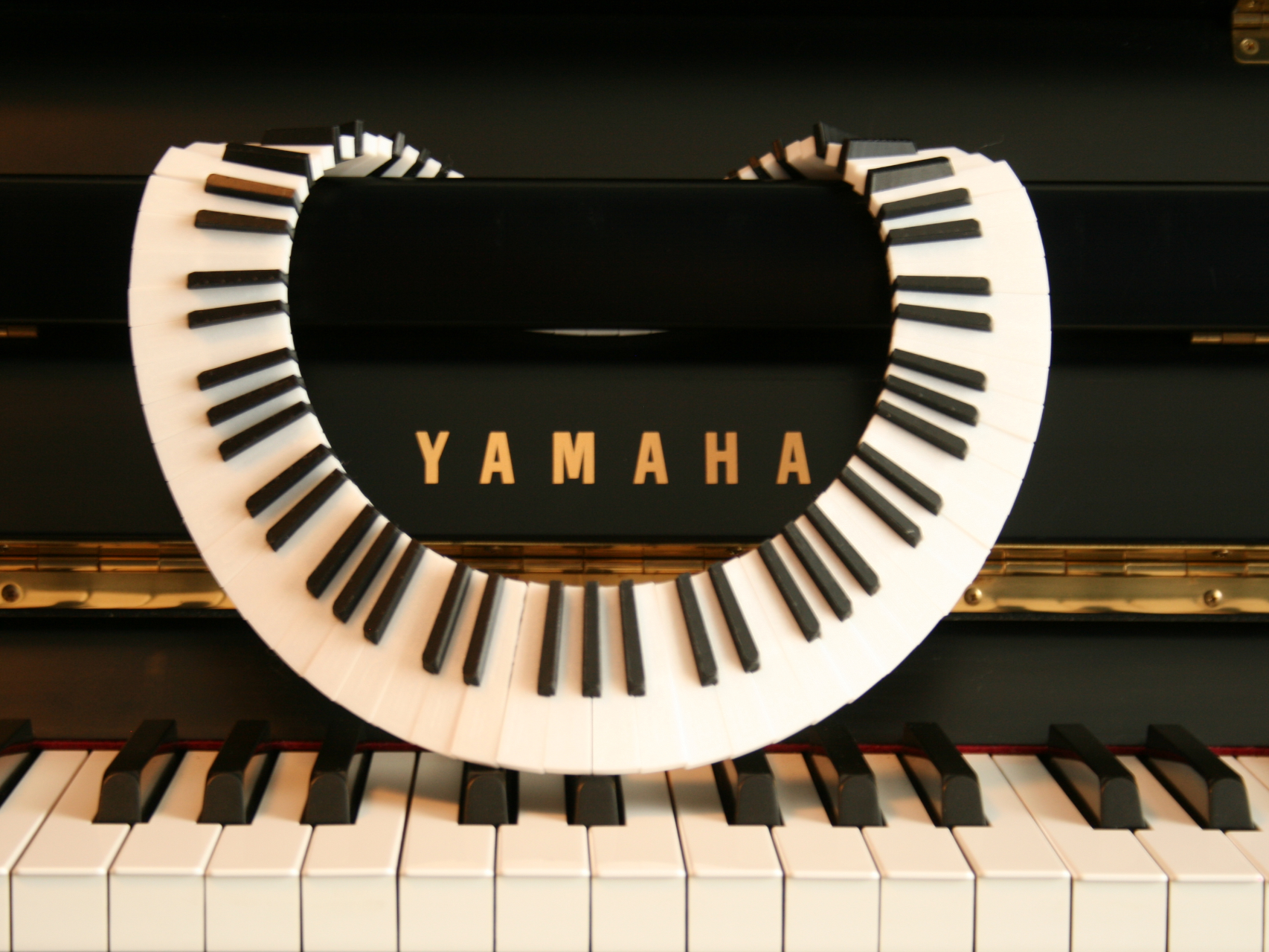 Ebony and Ivory necklace