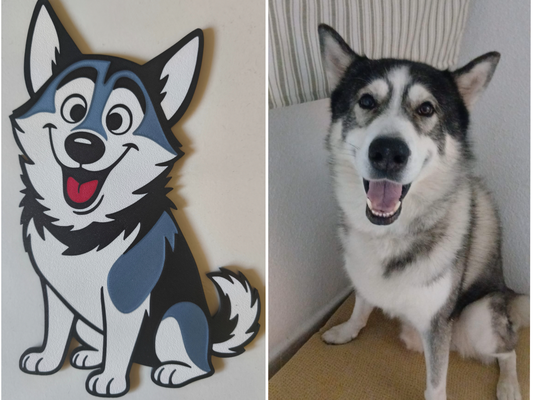 husky siberiano