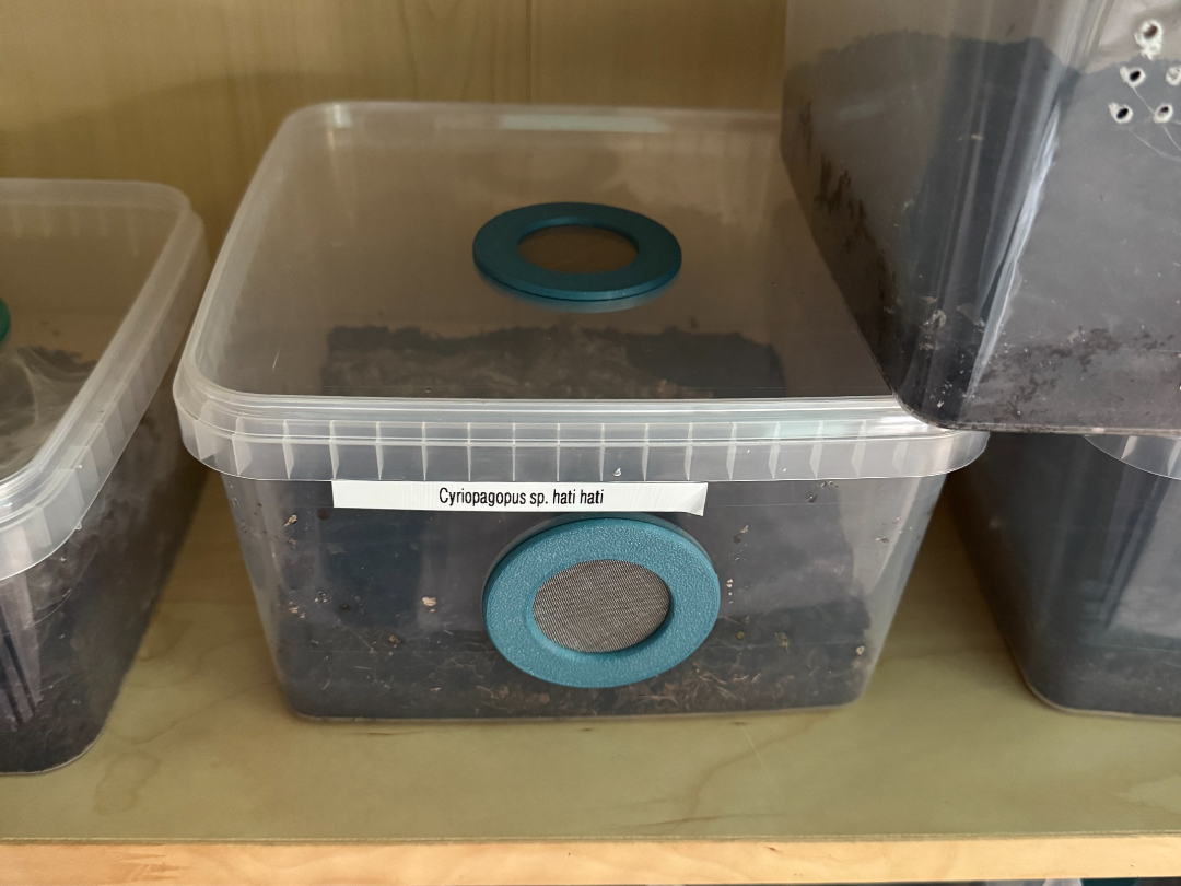 Lüftungsverschraubung für 45mm Löcher