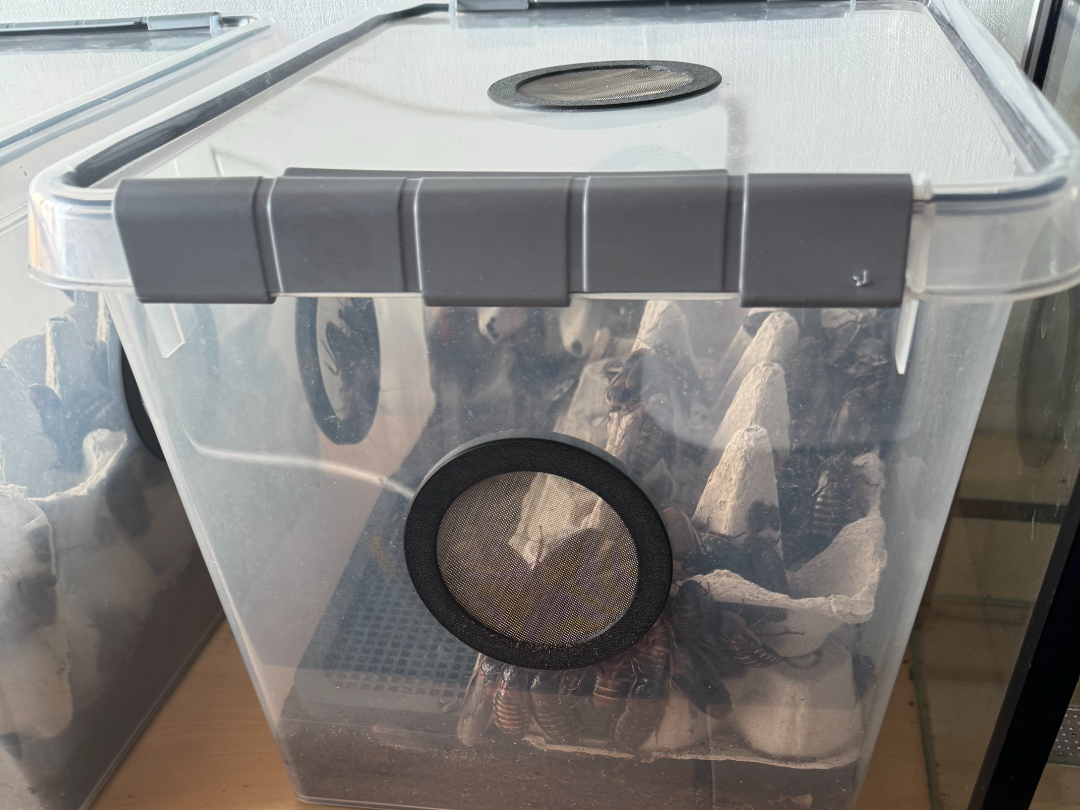 Lüftungsverschraubung für 80mm Löcher