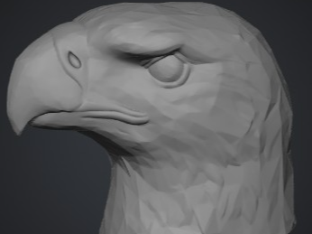 eagle head