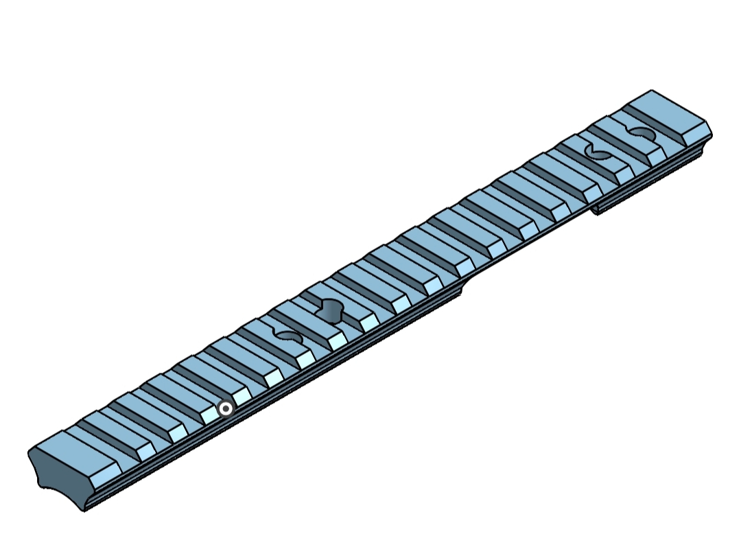 Savage Picatinny Rail