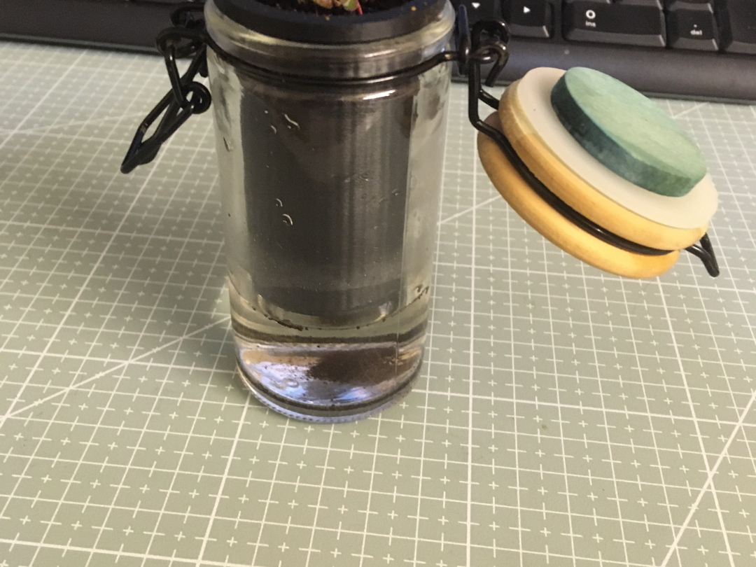 plant propagation selfwatering