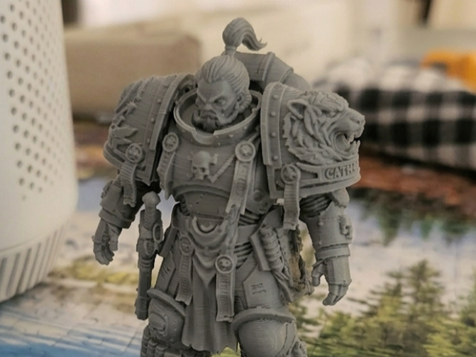 One piece zoro space marine