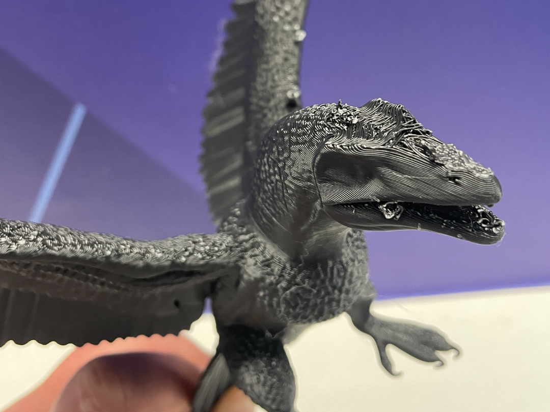 Archaeopteryx