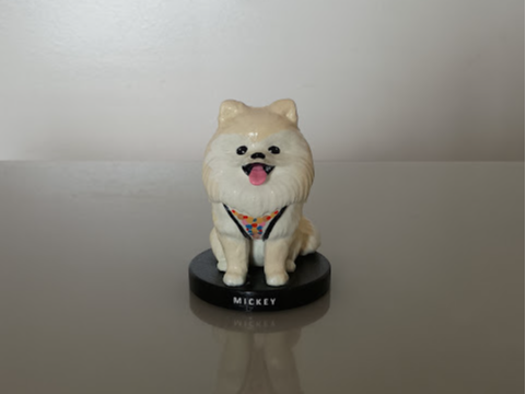 Miniatura Spitz Alemão
