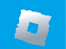 roblox avatars