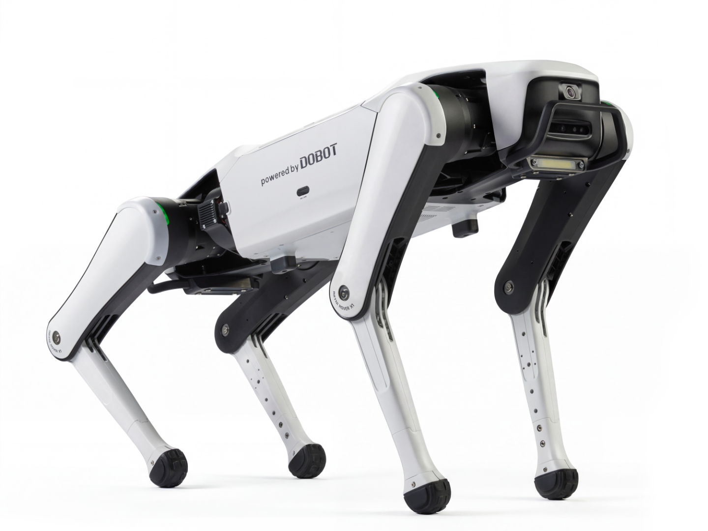 INFFNI Rover X1 Robot Dog