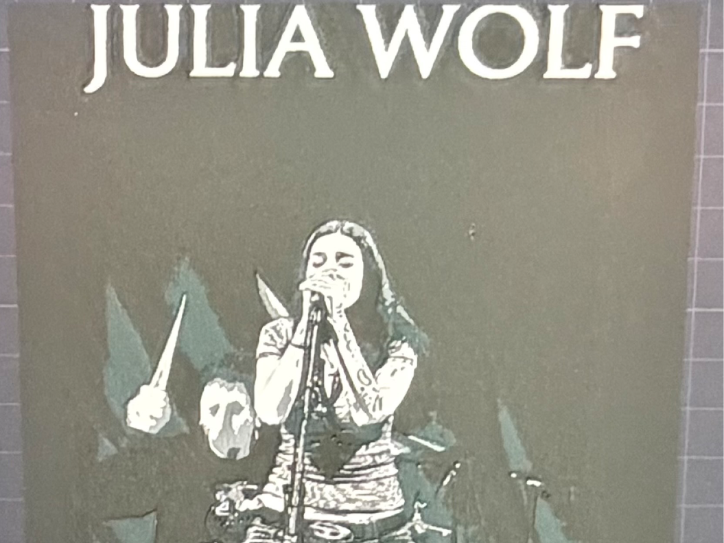 Julie wolf in concert