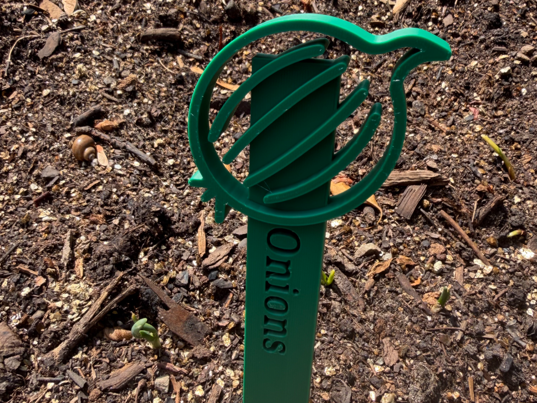 Onions Garden Stake