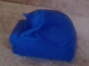 this is a render of my cat cup cup