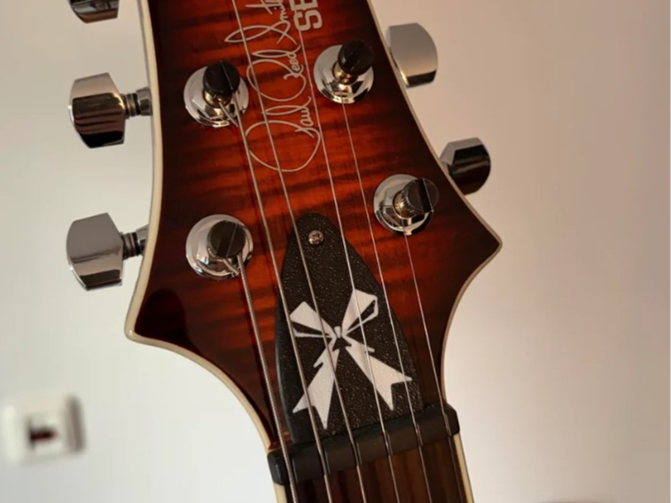 PRS Trust Rod Cover - Band Maid and Rock Lady