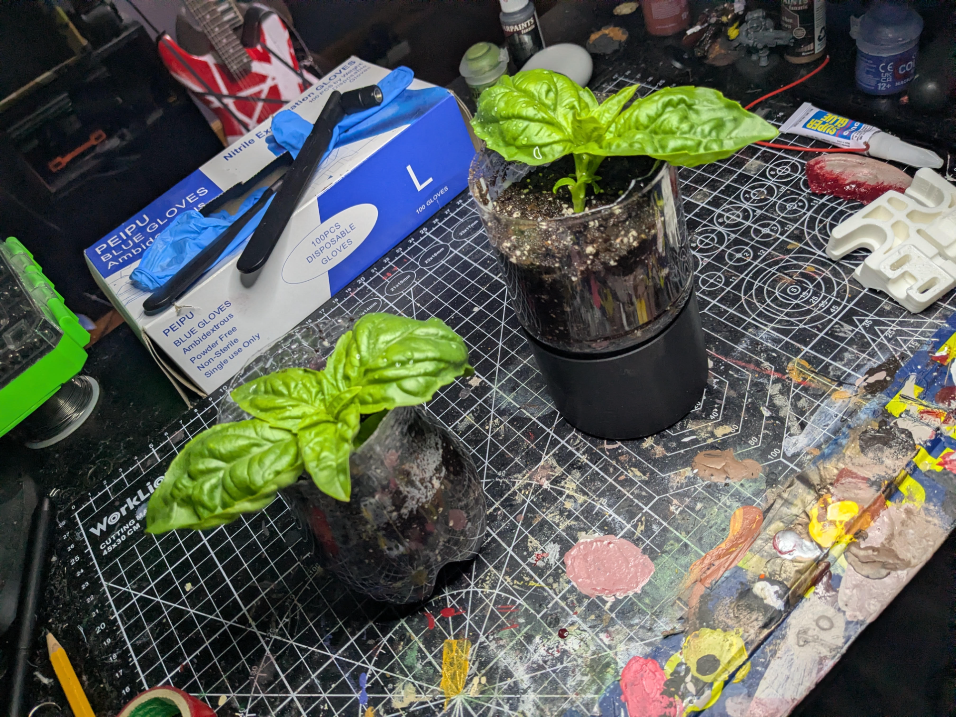 Ecopot