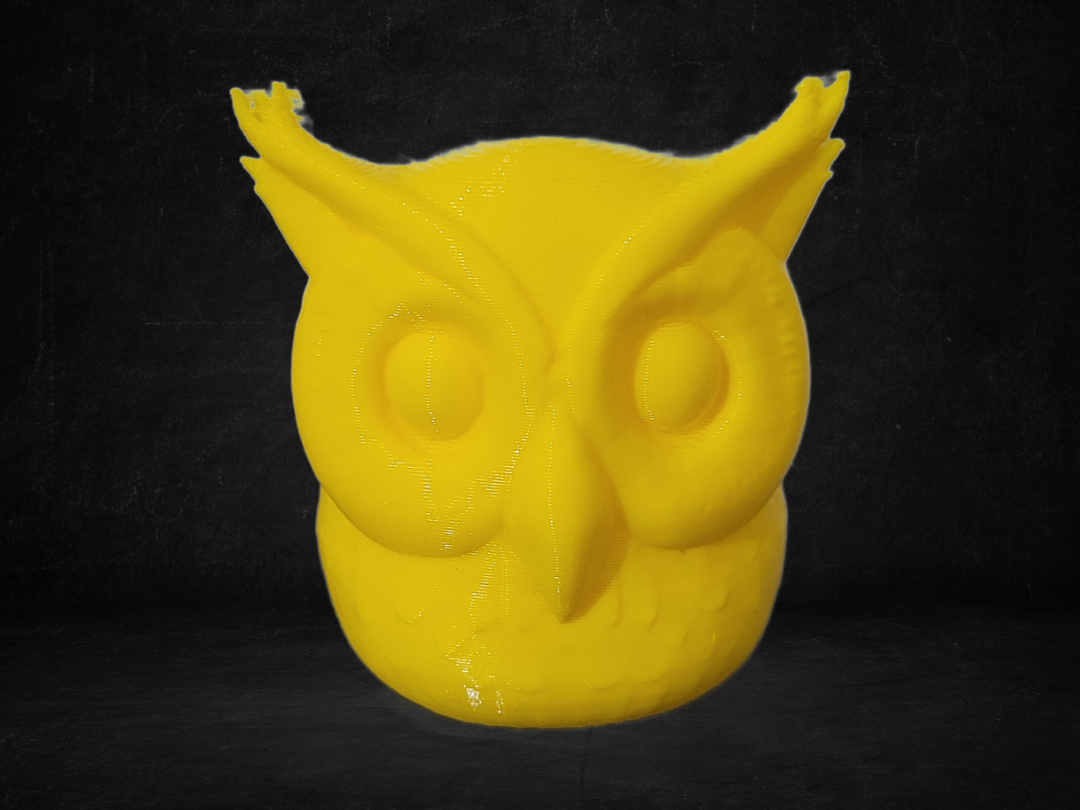 Cute owl