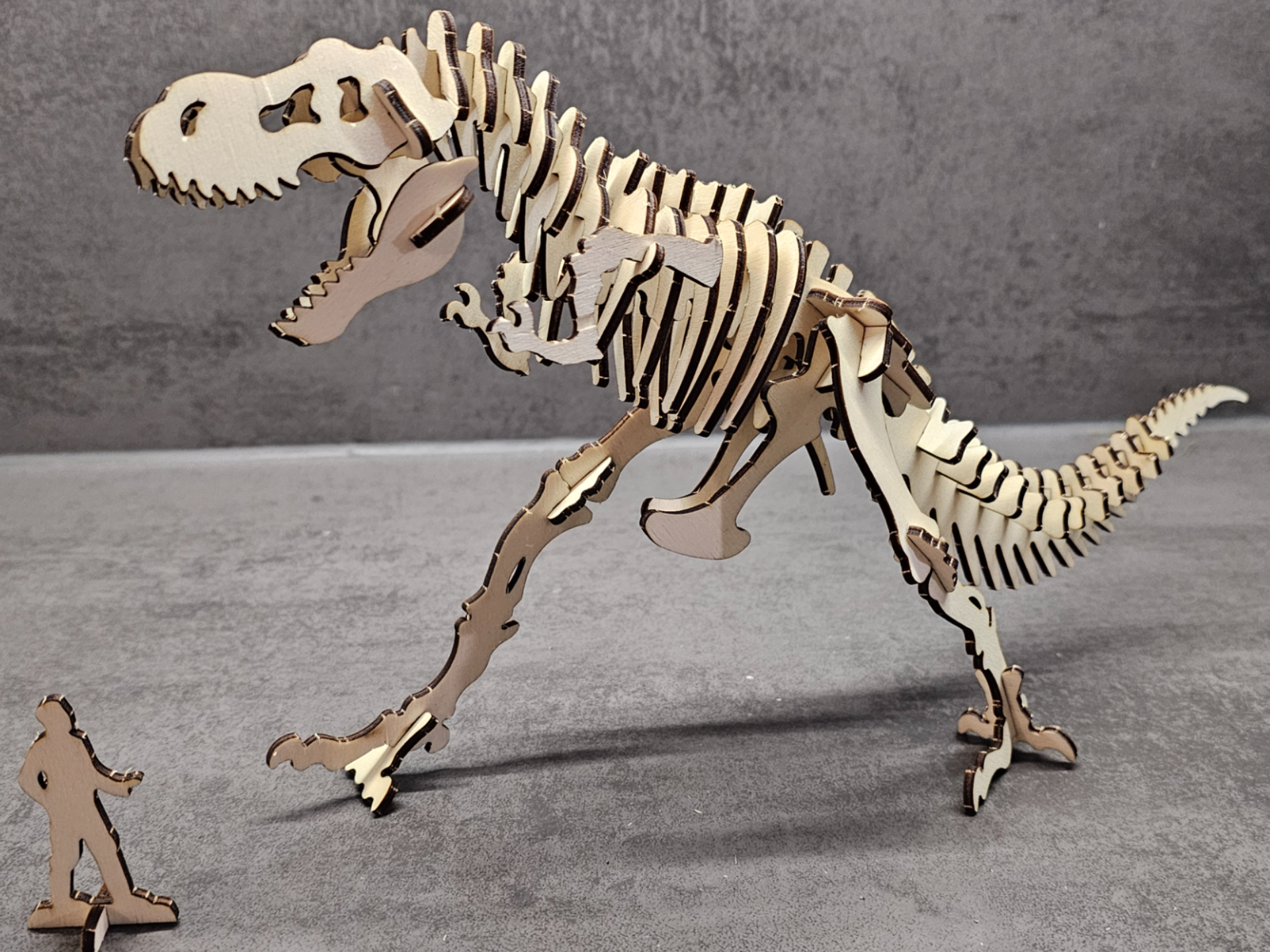Tyranosaurus Rex 3D puzzle