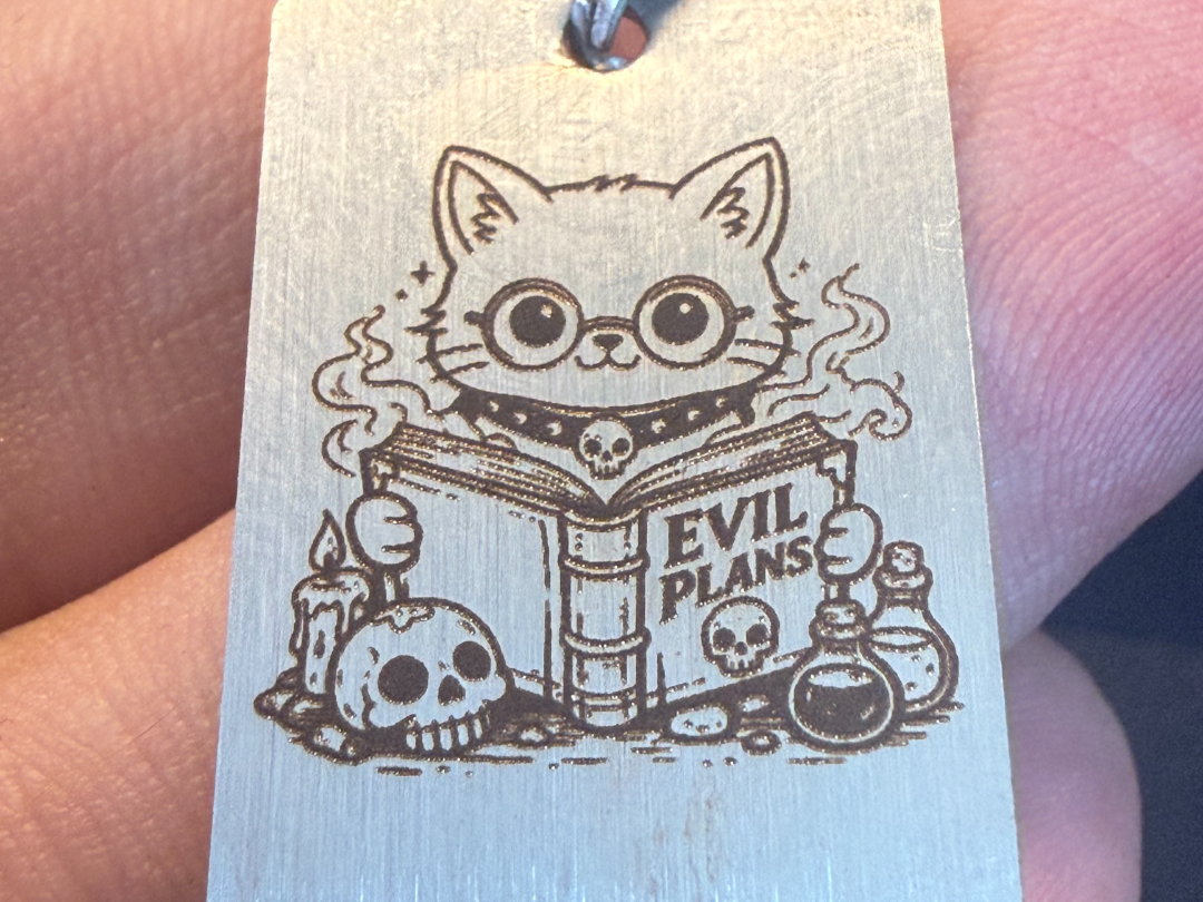 Evil Plans Cat