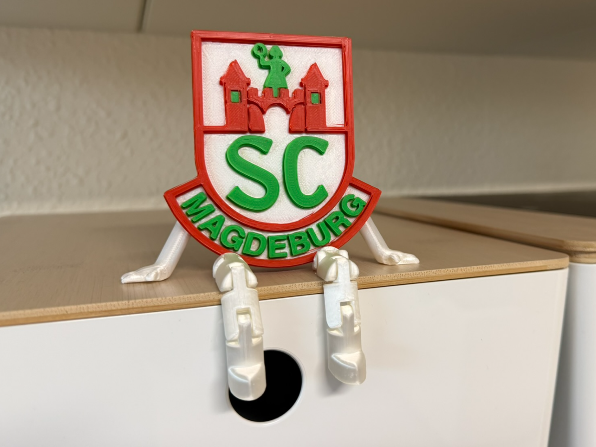 SCM Magdeburg Handball Flex