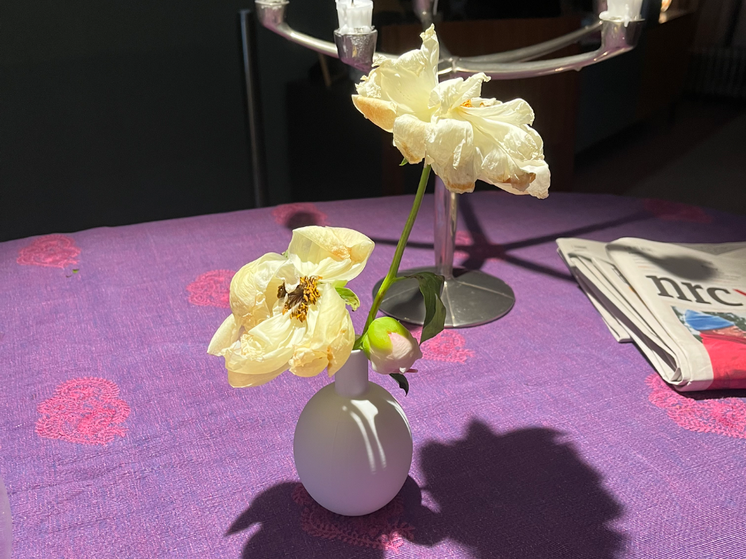 Elegant,Watertight & Lightweight Vase!