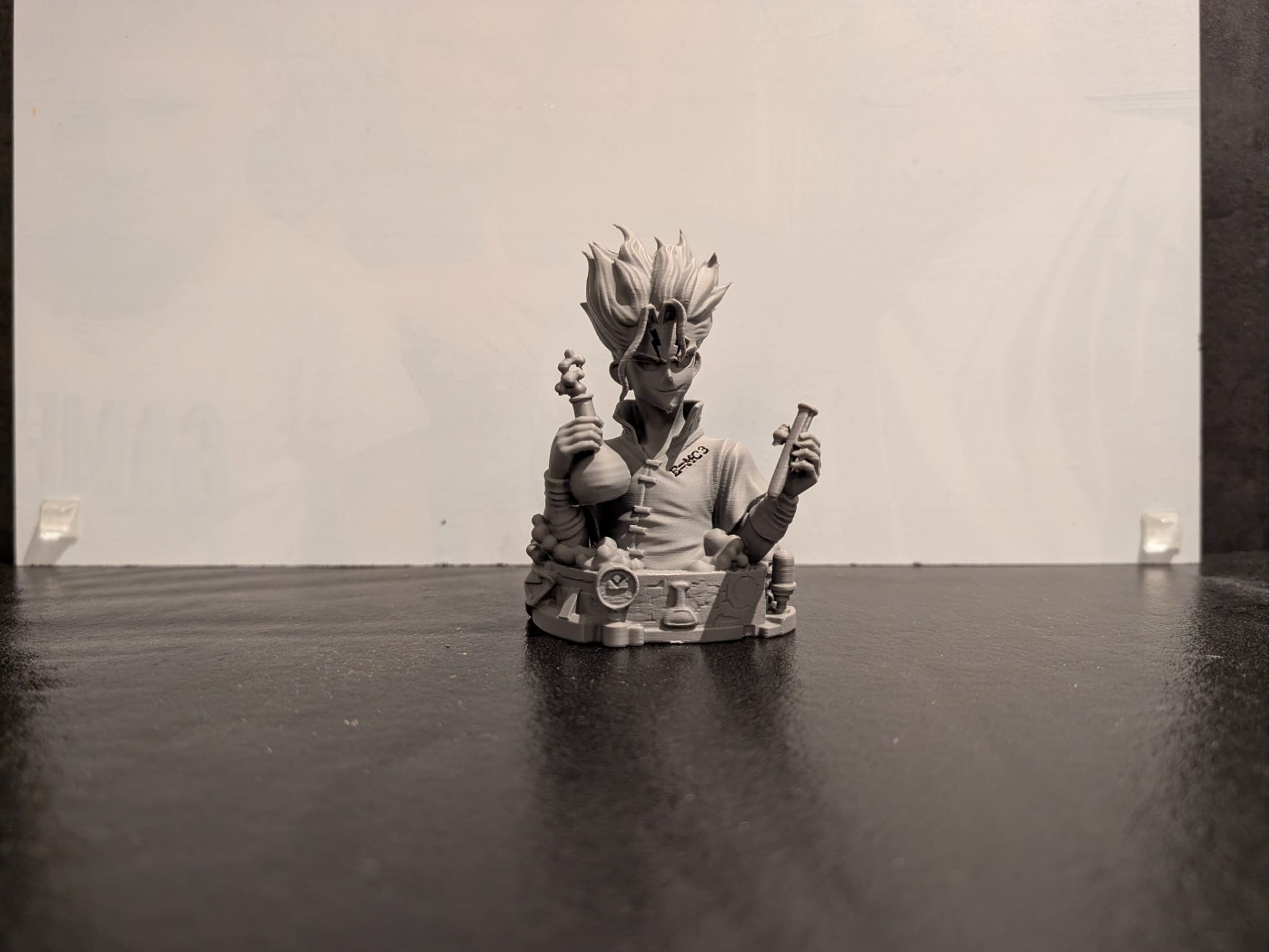 Dr. Stone Bust