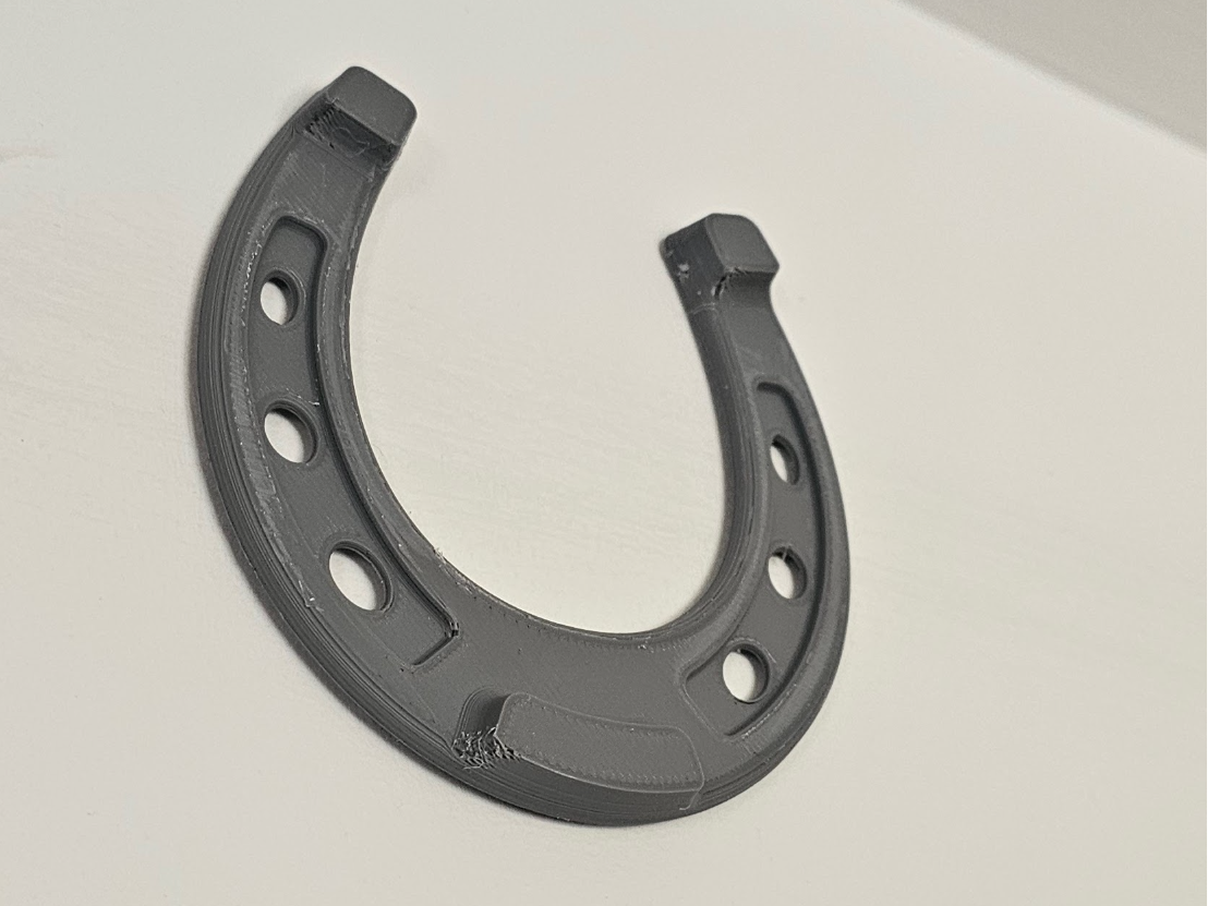Horse Shoe Lucky charm wall ornament