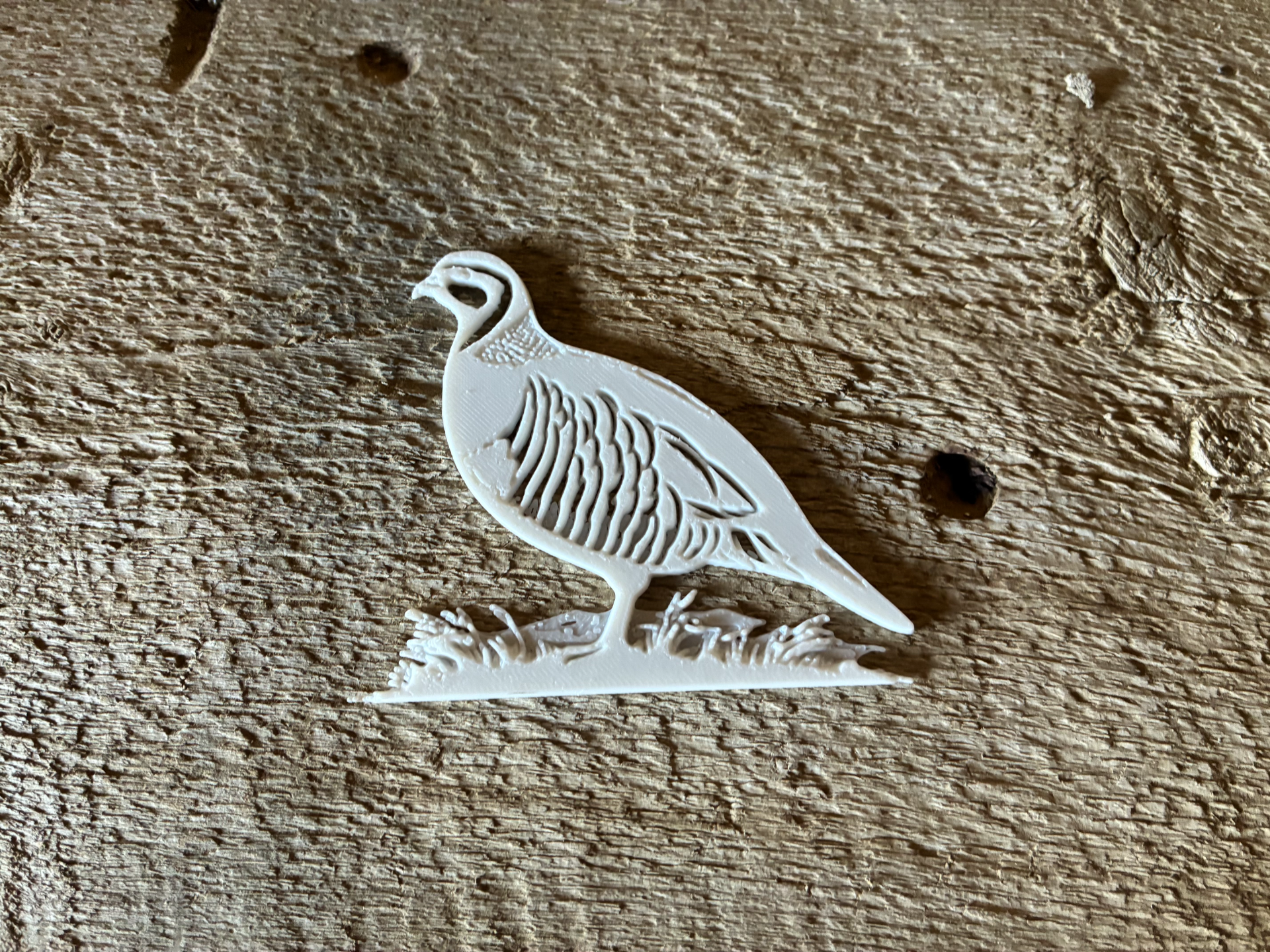 chukar silhouette
