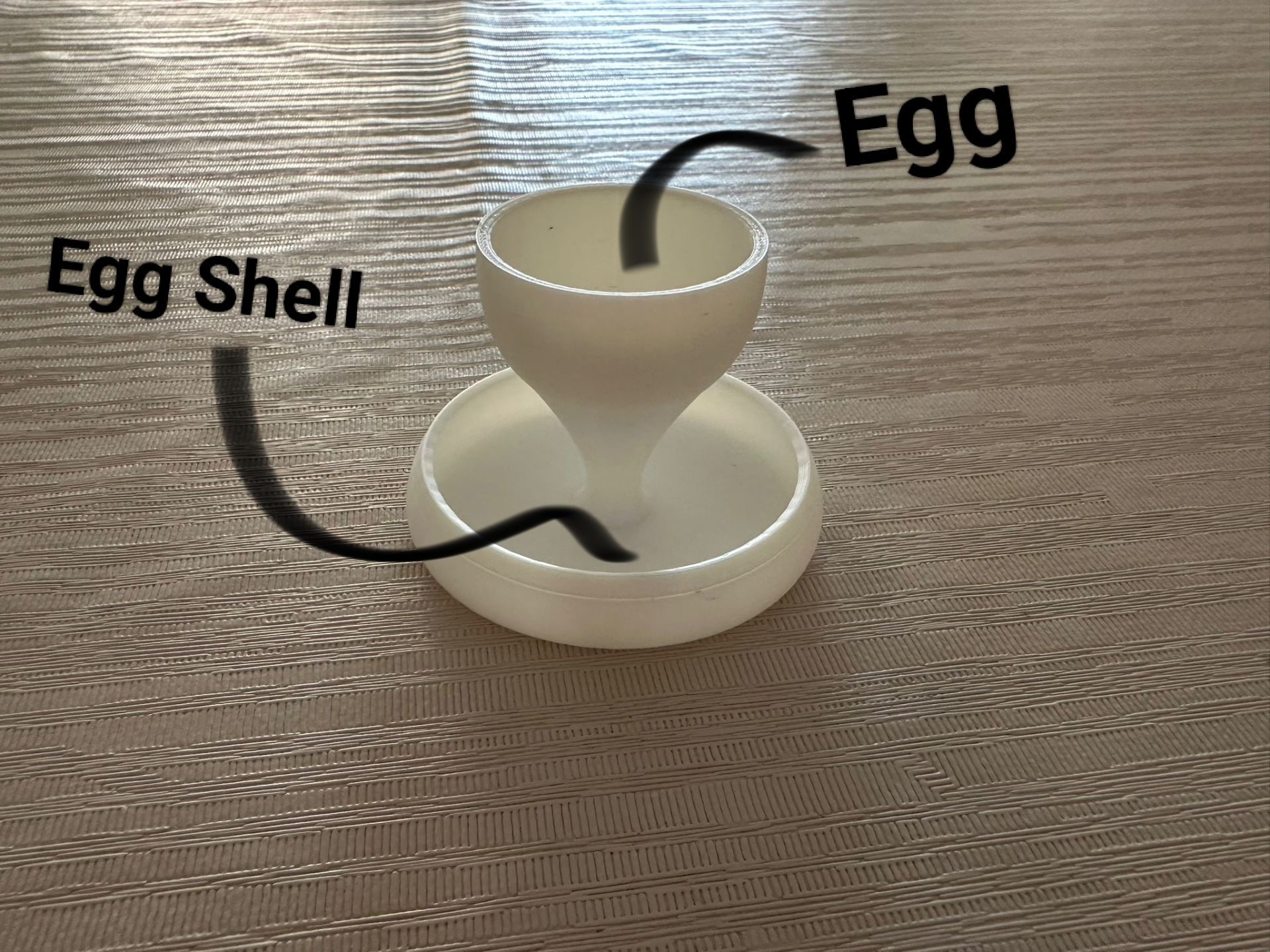 Egg Holder
