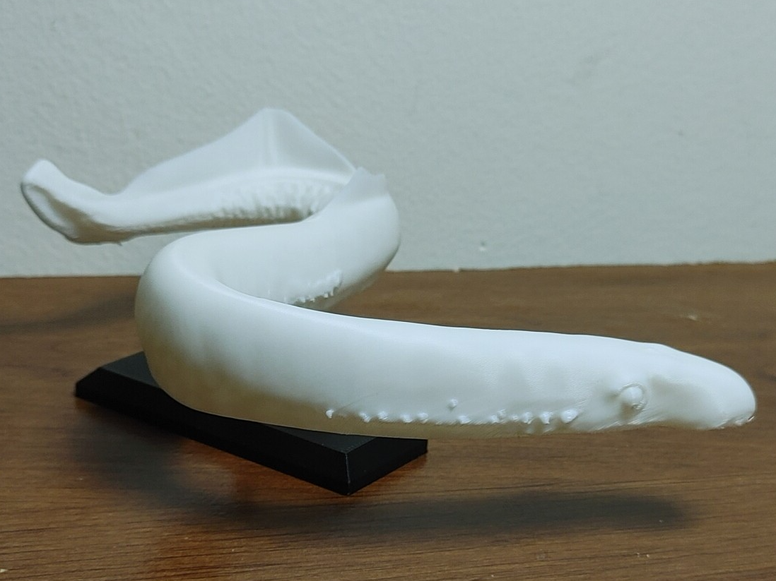 Lamprey Fish Mount
