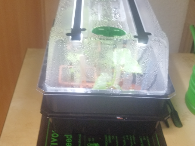 vivosun Greenhouse