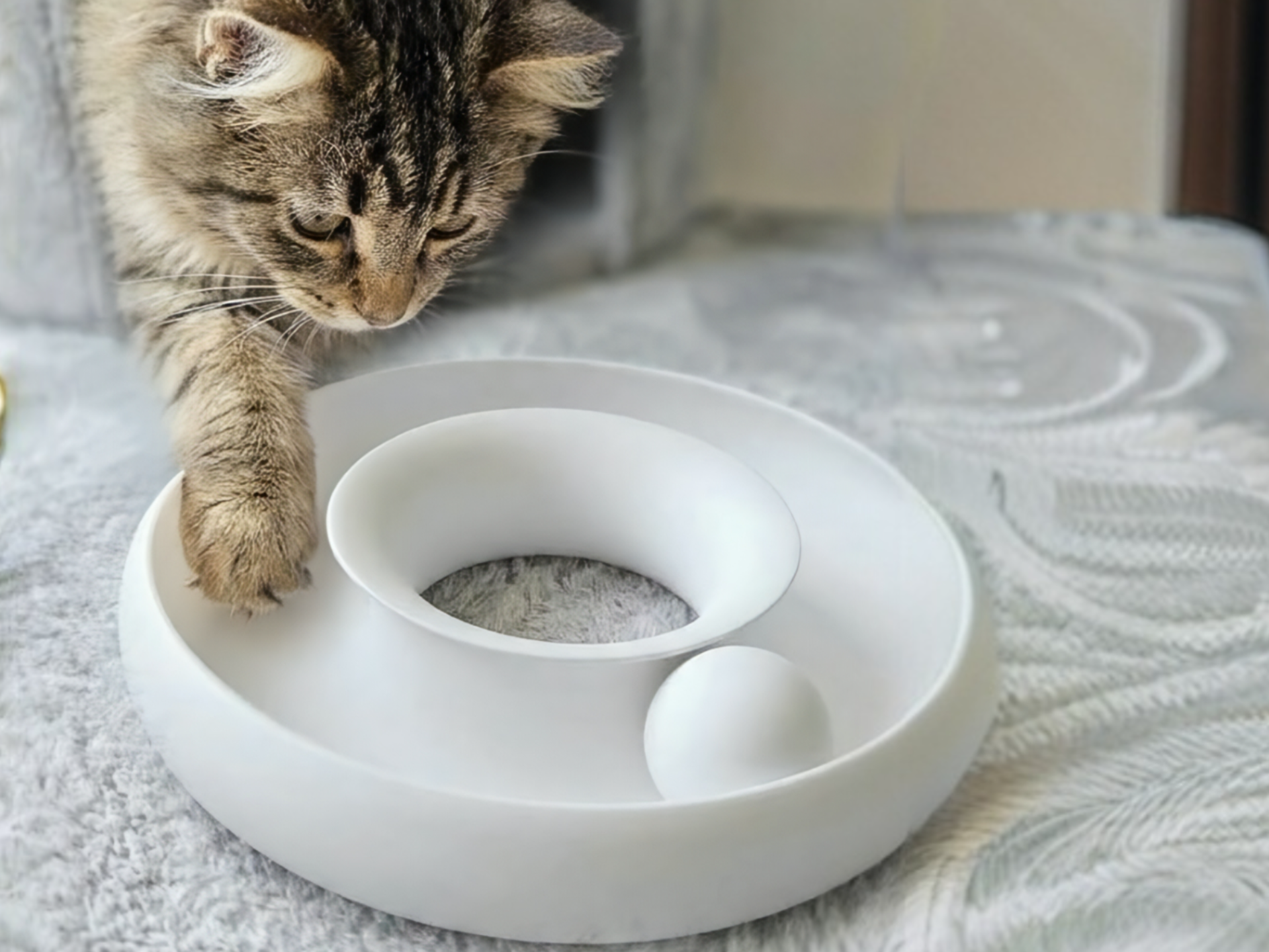 Cat Ring Toy Donut - Inifinty Ball Loop