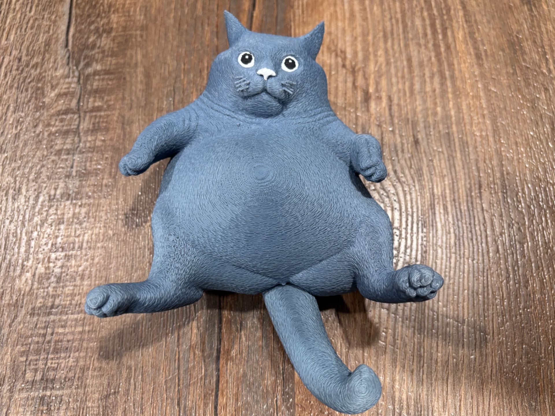 Ugly FAT CAT on back, I've fallen & I can't get up